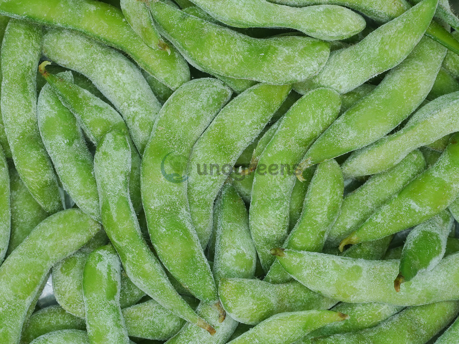 FROZEN GREEN SOY BEANS