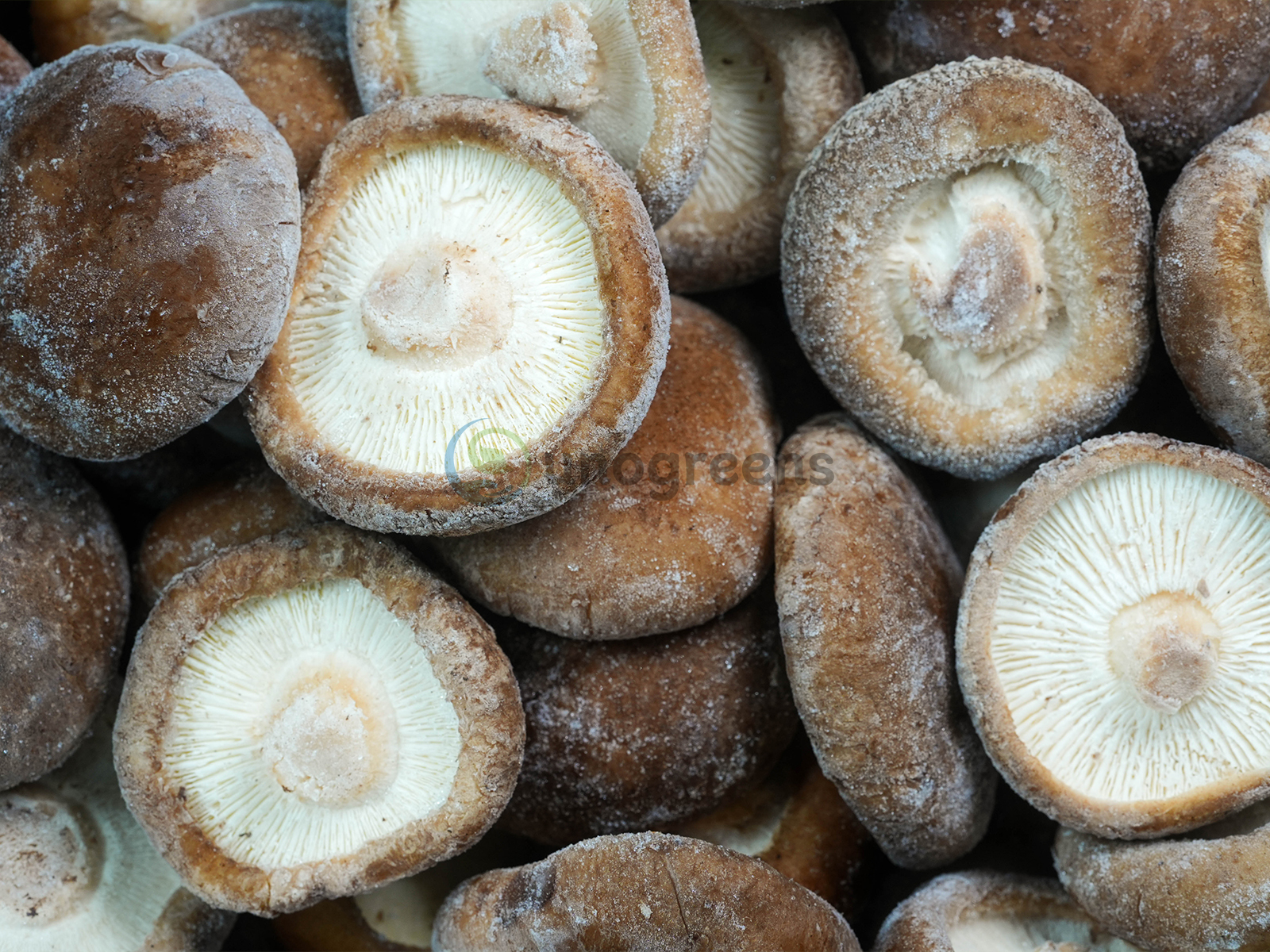 FROZEN SHIITAKE MUSHROOM （S&M）