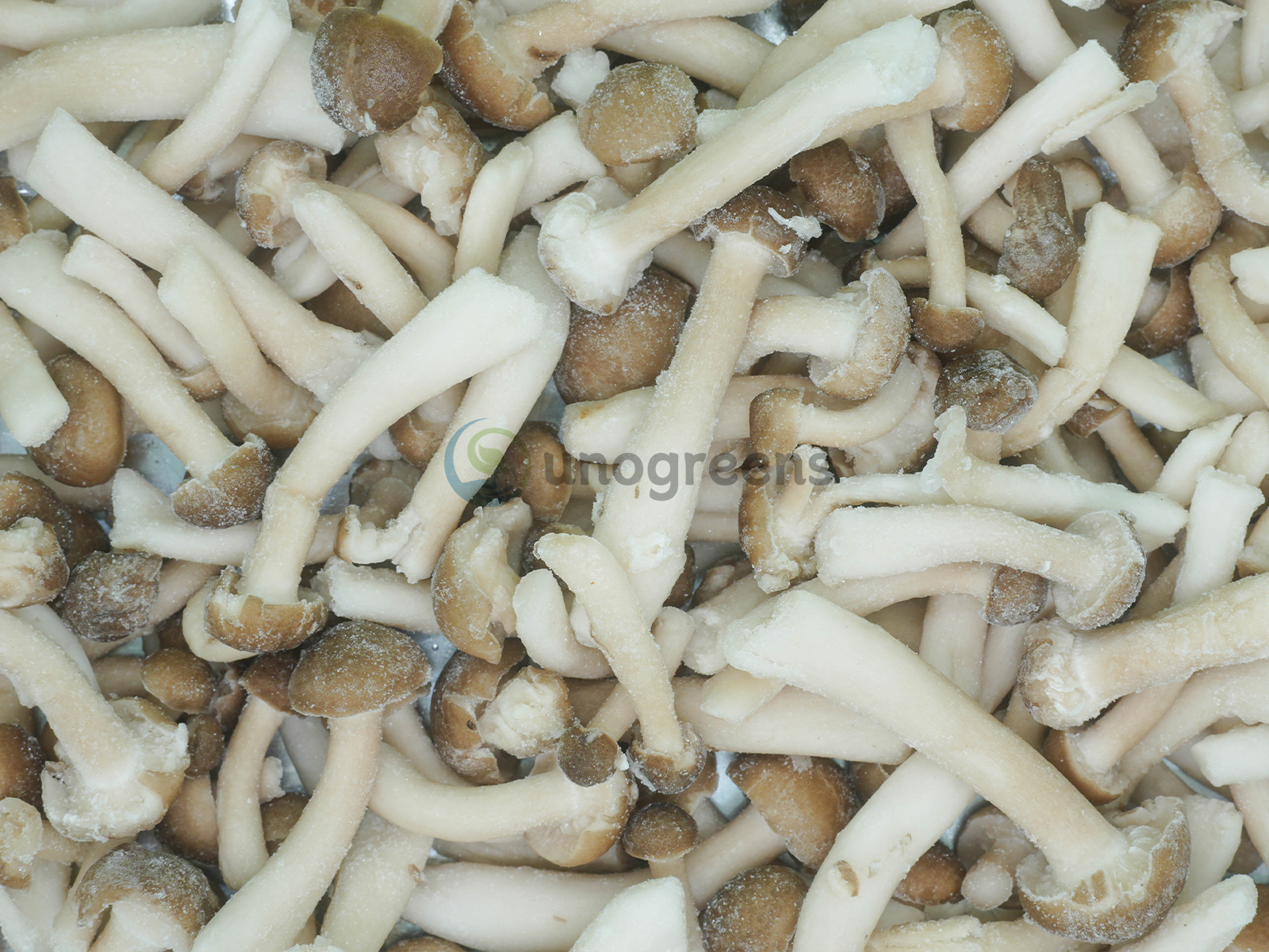 FROZEN BROWN BEECH MUSHROOMS