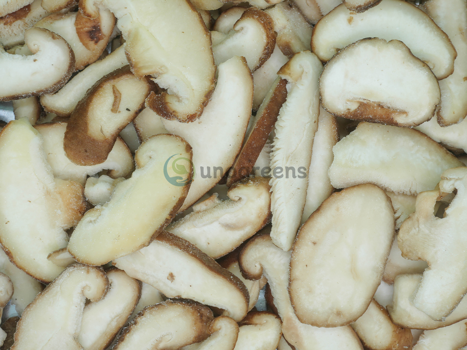 FROZEN SHIITAKE SLICES