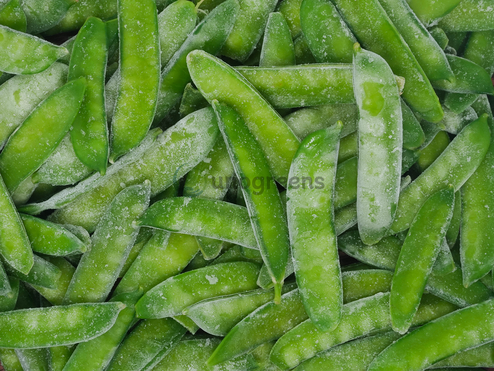 FROZEN PEA PODS